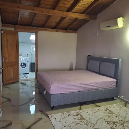 Tas Ev Kusadası
